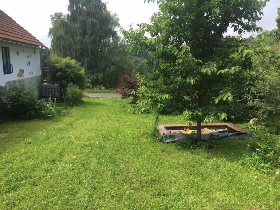 127 Let Stara Chalupa Se Spanim Na Peci A Finskou Saunou Jistebnice Exterior photo